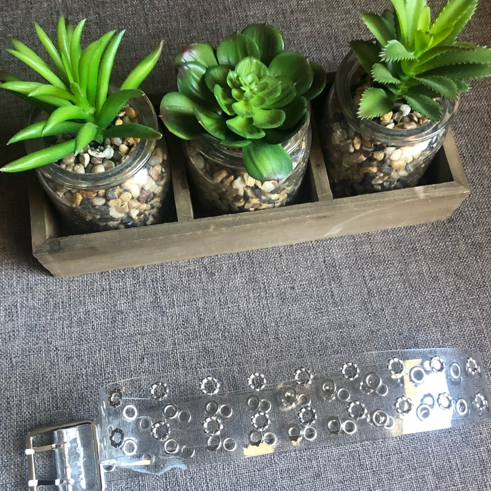 Clear Belt